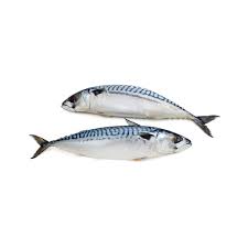 Рыбная продукция